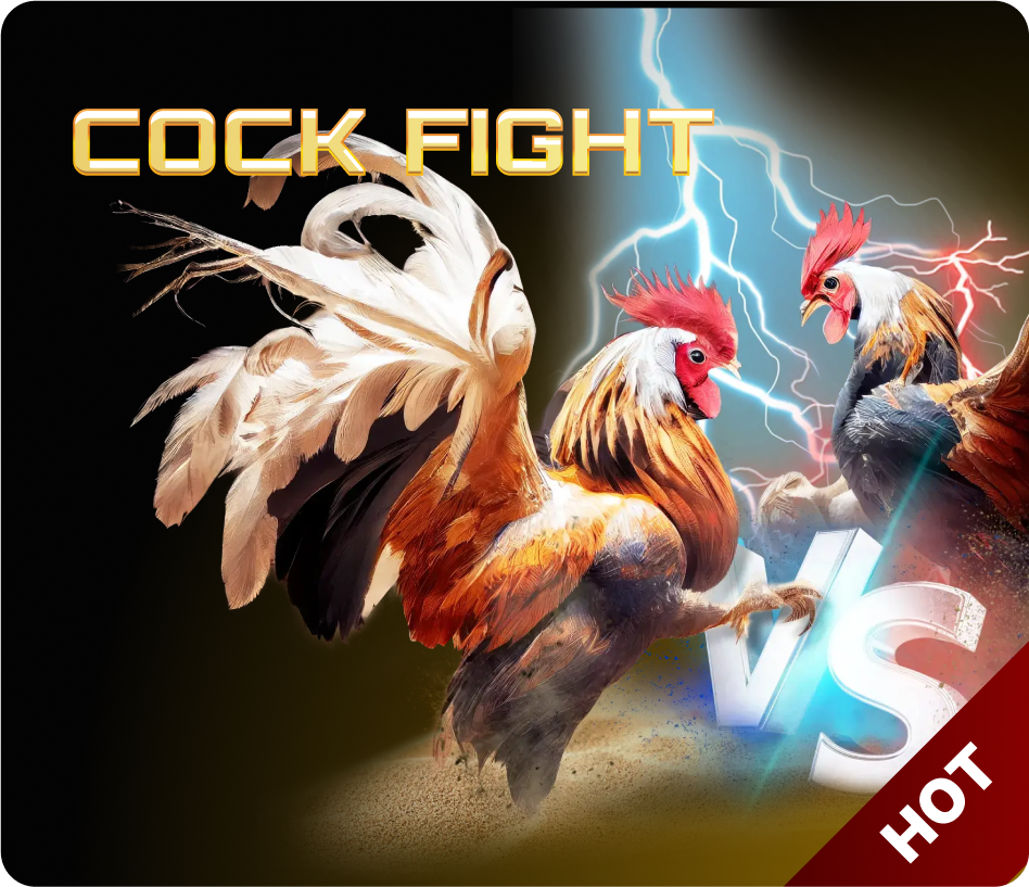 COCK FIGHT